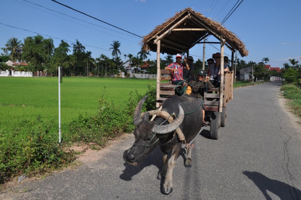 <i><b>Hoi An-068</b></i>